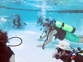 scuba class in a pool